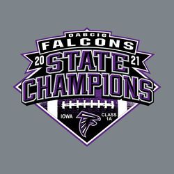 four color state football champion t-shirt design.   Team information in banner above large 3-D State Champions.  Football in diamond with team mascot and class information.