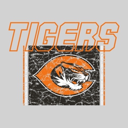 three color spirit wear t-shirt design with distressed mascot on colored background with side stripes.  Mascot name outline over partially covering background at top.