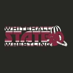 two color state wrestling t-shirt design.  Team name above word STATE.  Word WRESTLING below state.  Lines through words.   Headgear on the right.