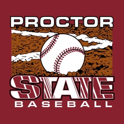 four color state baseball t-shirt design with baseball in dirt by home plate.