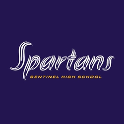 two color spirit wear t-shirt design.   Mascot name in novelty font with small school information below.