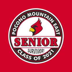 three color senior t-shirt design.  Circular design  with school name and mascot in top part of circle, class information in bottom of circle.  Large word SENIOR across design with word SURVIVOR!.