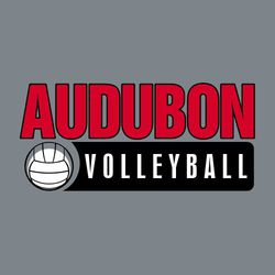 three color volleyball t-shirt design.  Large 2-color team name at top, volleyball in lower left and the word volleyball reversed in rectangle to the right.
