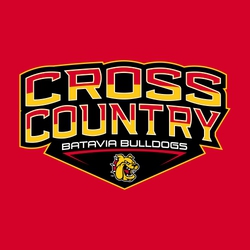interactive three color cross country t-shirt design.  Large CROSS COUNTRY stacked on two lines, arched and split letters in two colors inside frame.  Mascot at bottom.  Team name smaller inbetween.