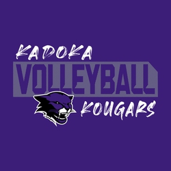 three color interactive volleyball t-shirt design.  Lines with lettering that is shirt color that says "volleyball". Script school name and mascot name above and below.  Mascot on lower left.