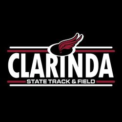 two color state track t-shirt design.  Wings inside oval framed with 2 lines.  School or mascot name, large.  State track & field framed by two lines at the bottom.