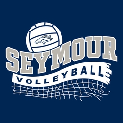 two color volleyball t-shirt art. volleyball upper left with mascot centered on it.  Wave arched text team name below that.  Wave net tape and net with word volleyball reversed in net tape.