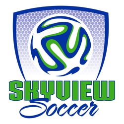two color soccer t-shirt design. Soccer ball inside shield with honeycomb shaded grid in background.  Block team name at the bottom with Soccer in script below it.