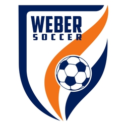 two color soccer t-shirt design.  Shield with team name stacked over word soccer at the top.  Right side of shield is two color, wavy shapes with soccer ball placed over them.