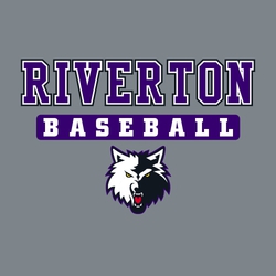 5 color baseball t-shirt design.  Team name in athletic block lettering at the top, word baseball in rectangle below that.  Mascot at the bottom.