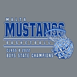 3 color state basketball t-shirt design with swish net.
