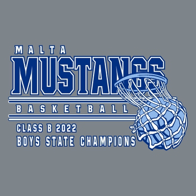 3 color state basketball t-shirt design with swish net.