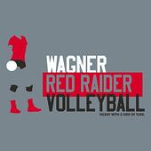 Volleyball T-Shirt Design