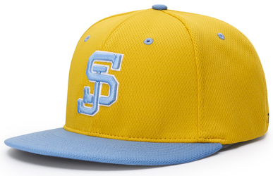Custom Baseball Hats for Teams