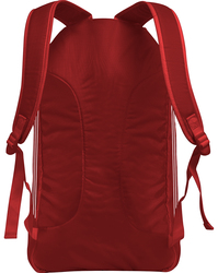 Adidas Wrestling Gear Bag 2.0 back side in red