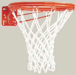 Bison Heavy-Duty Side Court And Recreational Flex Rim