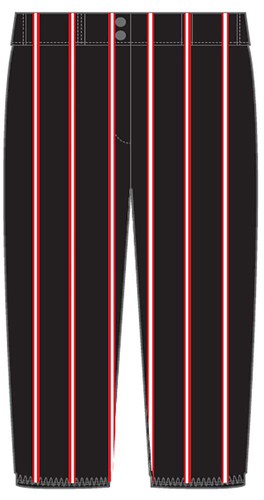 Alleson Youth Sublimated Softball Pant