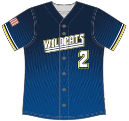 Alleson Women's Sublimated Full Button Softball Jersey