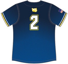 Alleson Women's Sublimated Full Button Softball Jersey Back View