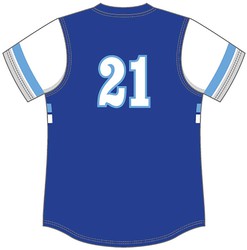 Alleson Women's Sublimated V-Neck Softball Jersey Back View