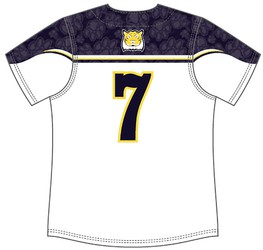 Alleson Youth Sublimated Faux Front Softball Jersey Back View
