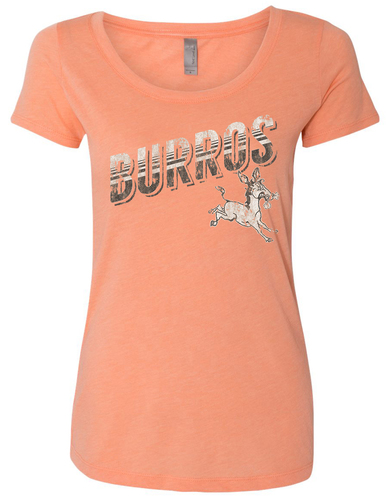 Custom Screen Printed Next Level Women's Tri-Blend Scoop Tee