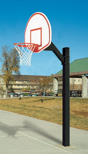 Bison Ultimate Jr. Fan Aluminum Playground System