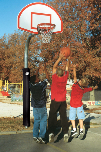 Bison Heavy Duty Finished Aluminum Fan Playground Basketball System