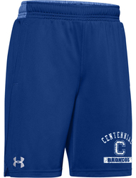 Under Armour Youth Pocketed Locker Short in Royal