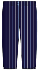 REGLETEK Women's Fastpitch Pant - Stripe 2