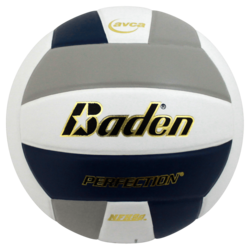 Baden Perfection Leather Game Volleyball