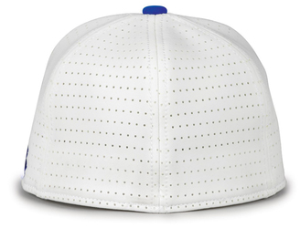 Under Armour Resistor Performance Perforated Hat back view